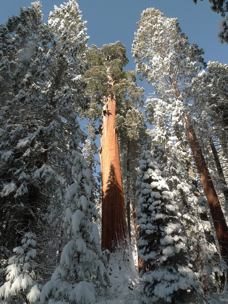Christmas2010 209.JPG